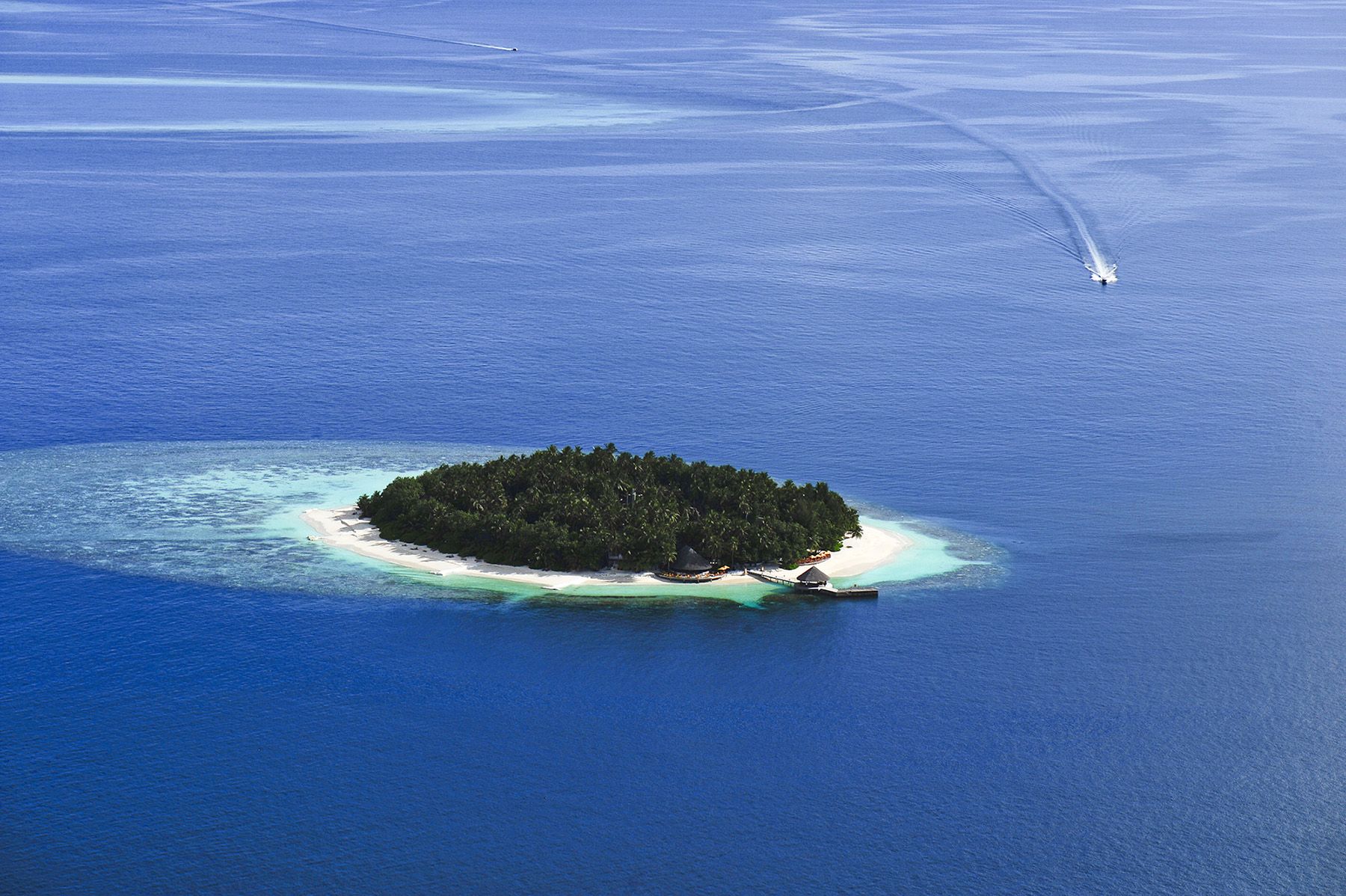 Six Of The Best House Reefs six-of-the-best-house-reefs