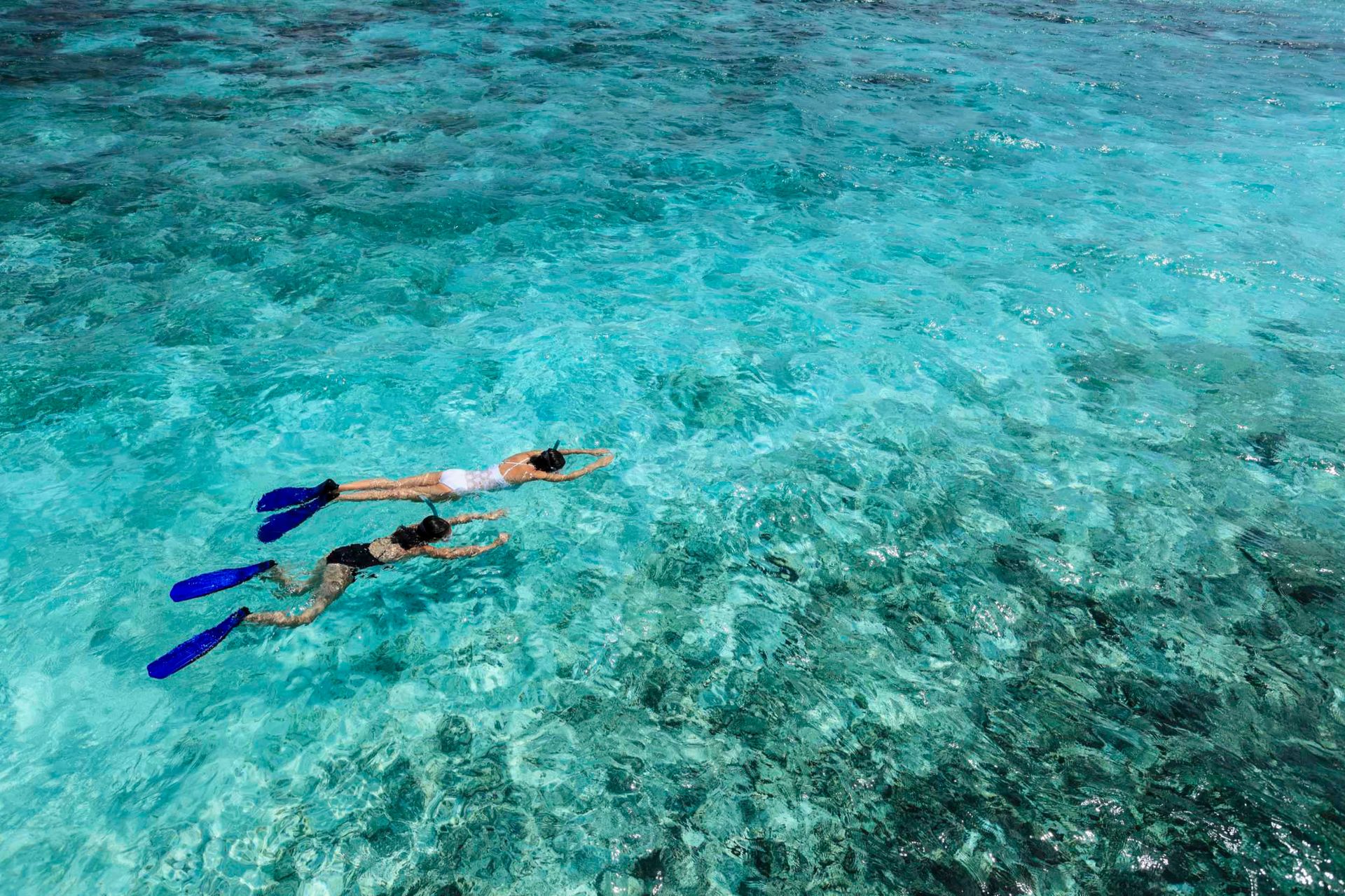 Atlantis Azores, Tubbataha Reef | Original Travel