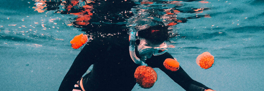 Snorkelling in France