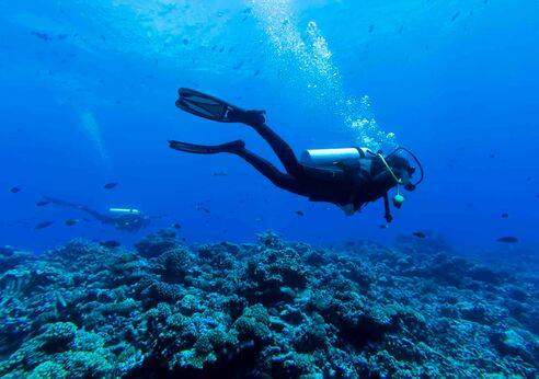 Diver in French Polynesia