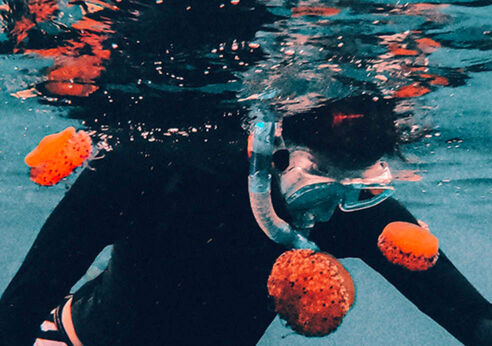 Snorkelling in France