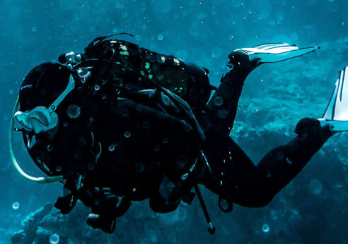 Diving - Maldives