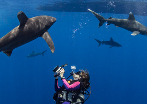 Scuba diving