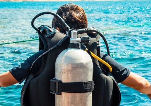 Diver before lesson