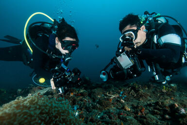 Dive photography Lembeh Strait