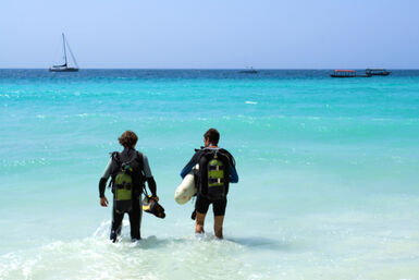 Divers walking into the ocean, Zanzibar